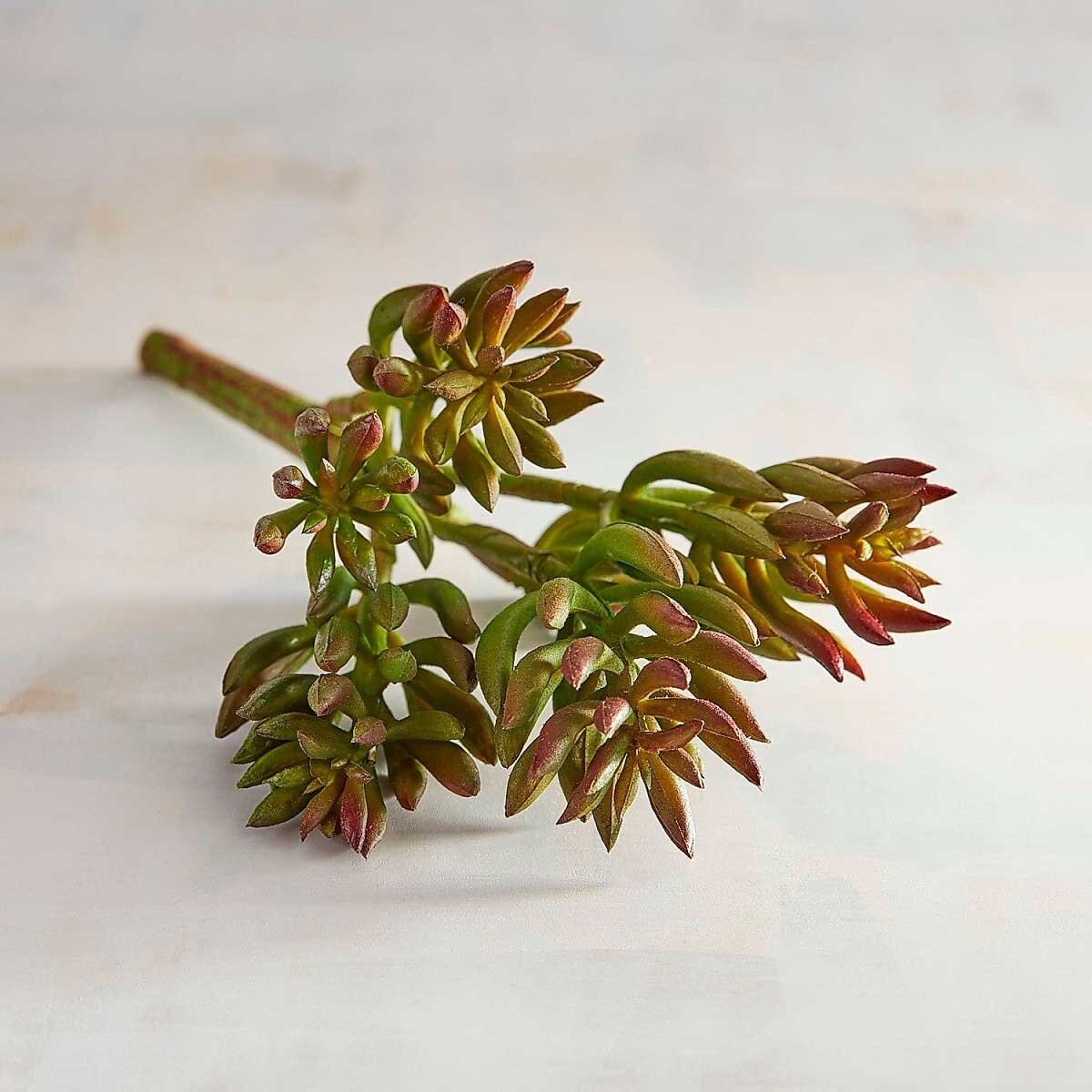 Tallo con Suculentas Faux Red & Green - Pier 1 Imports