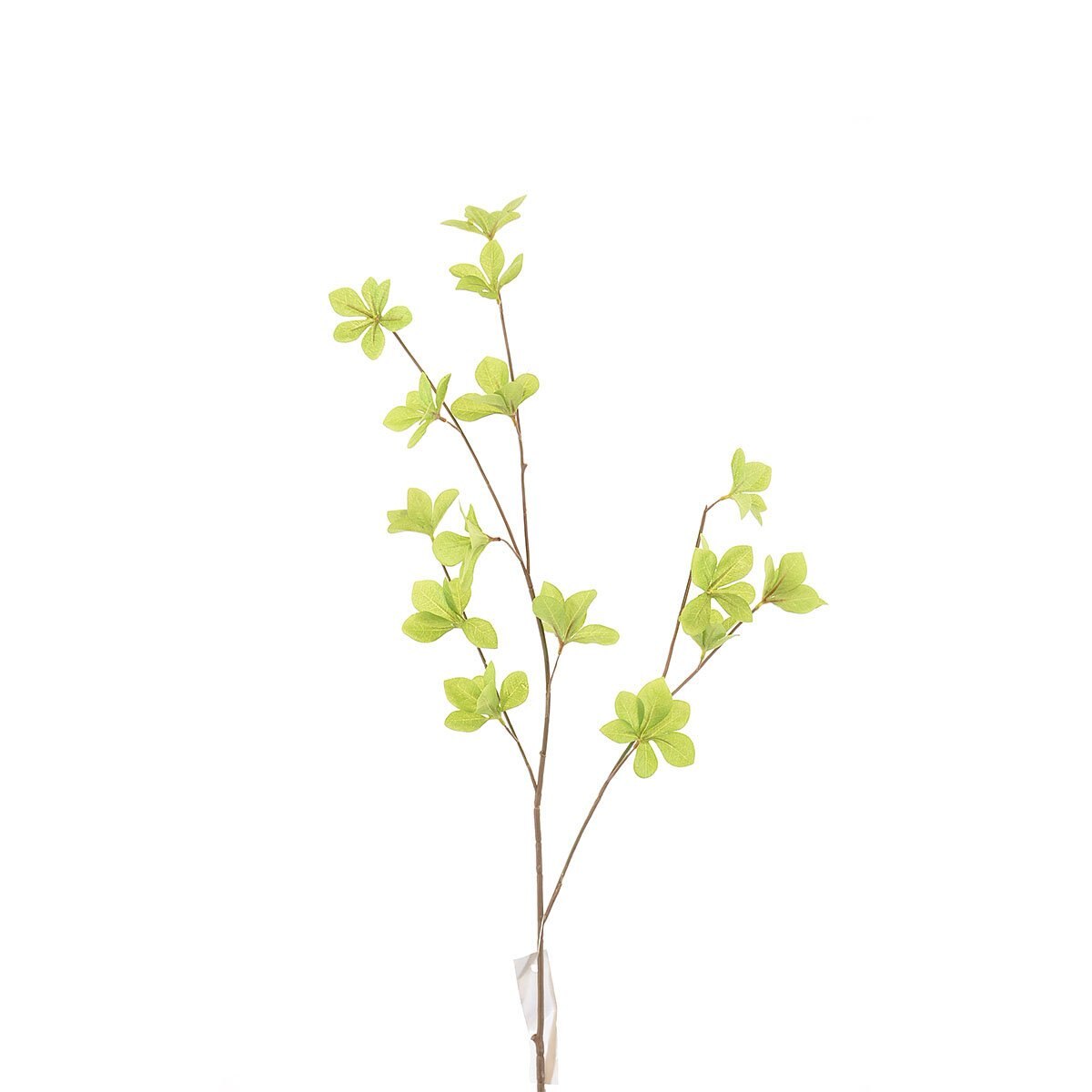Hojas Verdes 80 Cm Bröch