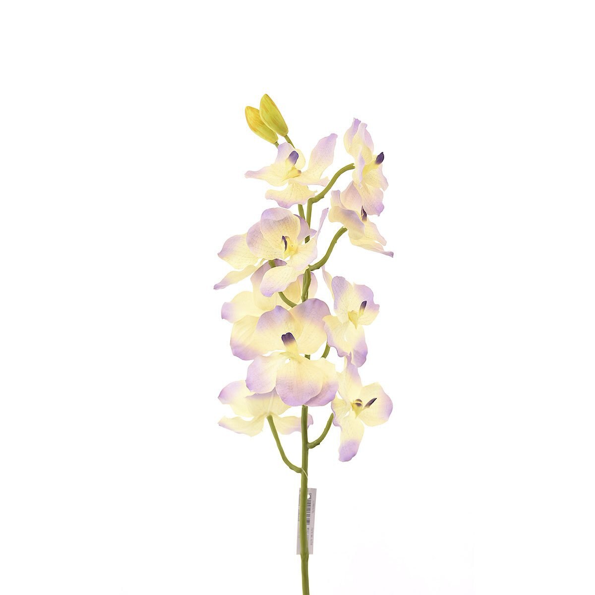 Orquídea Morada con Blanco 70 Cm Bröch