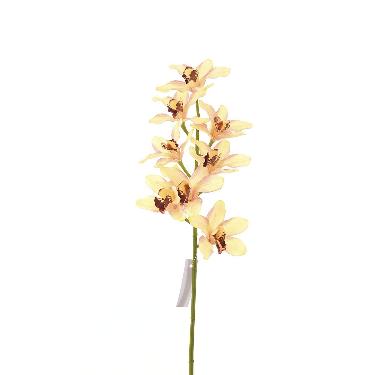 Orquídea Rosa Palo 70 Cm Bröch