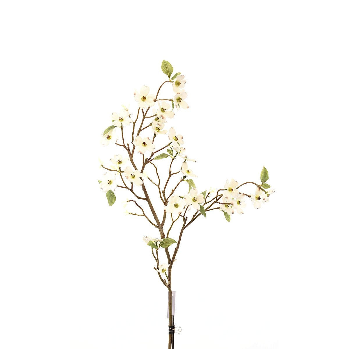 Flor Cornejo Blanca 110 Cm Bröch