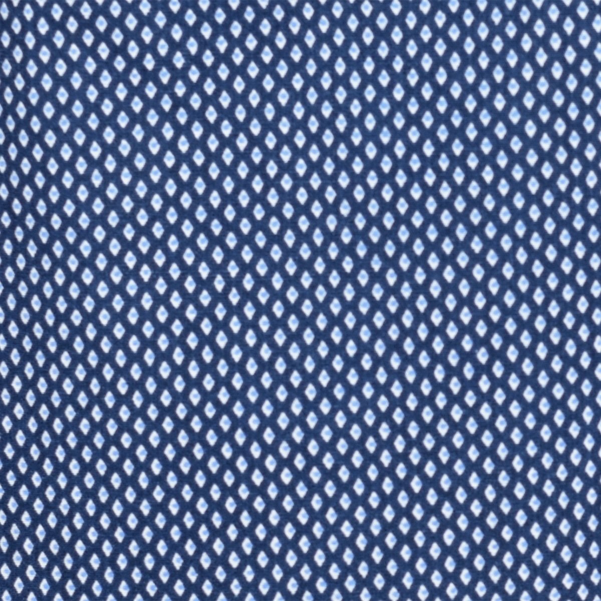 Camisa Manga Larga Carlo Corinto