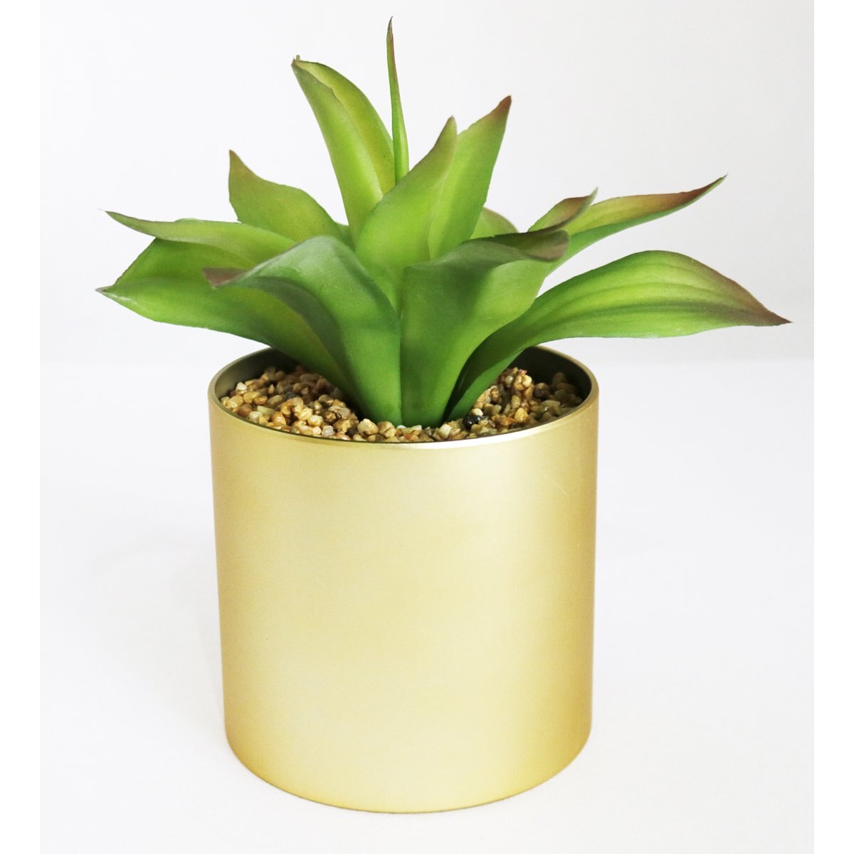 Agave con Maceta Dorada Home Nature