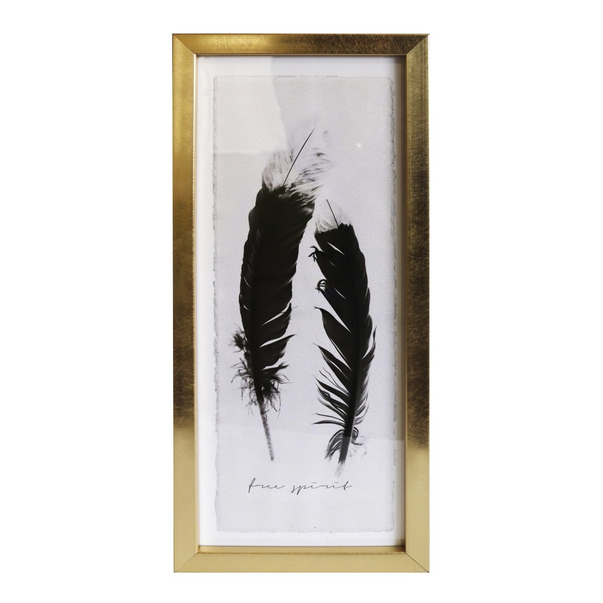 Cuadro de Plumas Home Nature
