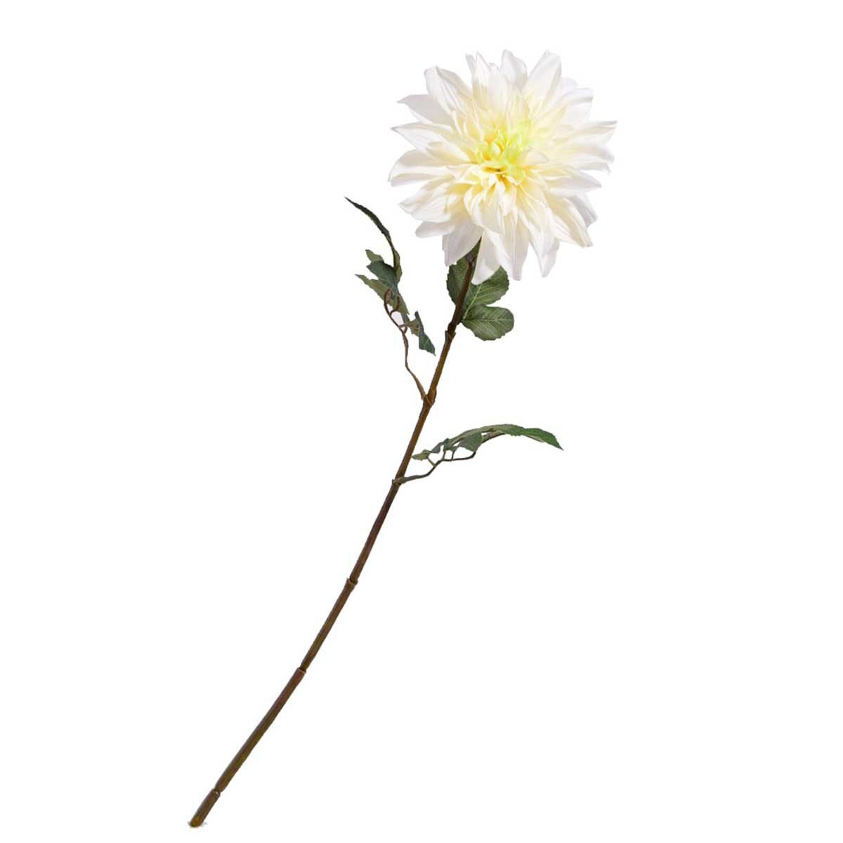 Tallo Dalia Crema