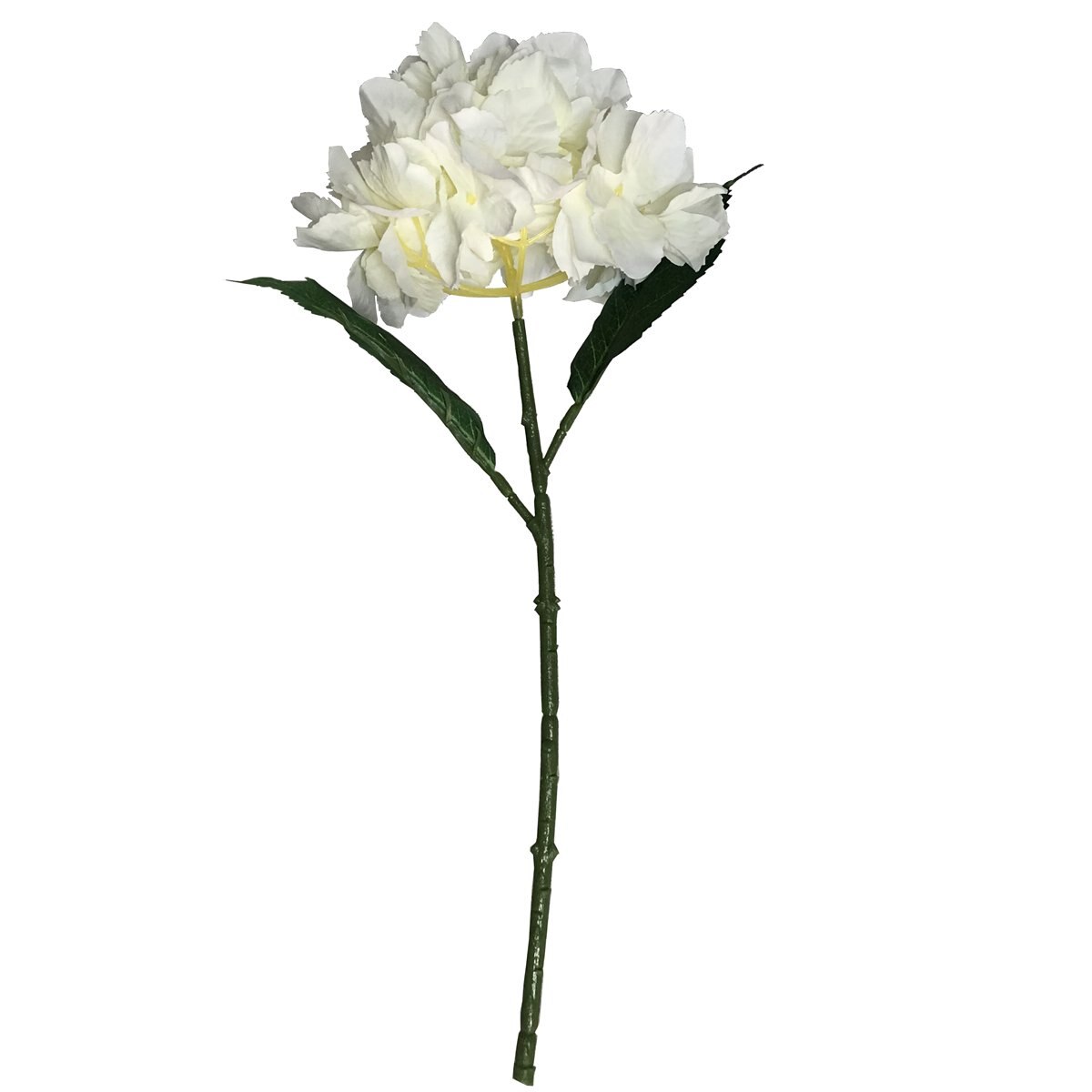 Blanca Triangulo Sencillo Hydrangea 12 37Cm Lotus