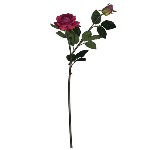 Mini Rosa Rosa 2 47.5Cm Lotus