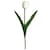 Tulip&aacute;n Sencilla Blanco W 21.5 H 41Cm Lotus