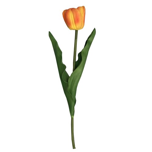Tulipán Sencilla Naranja W 21.5 H 41Cm Lotus