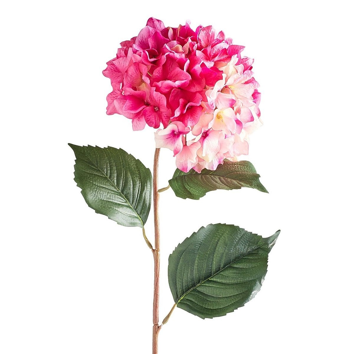 Flor en Tallo Hydrangea Berry Pink Pier 1 Imports