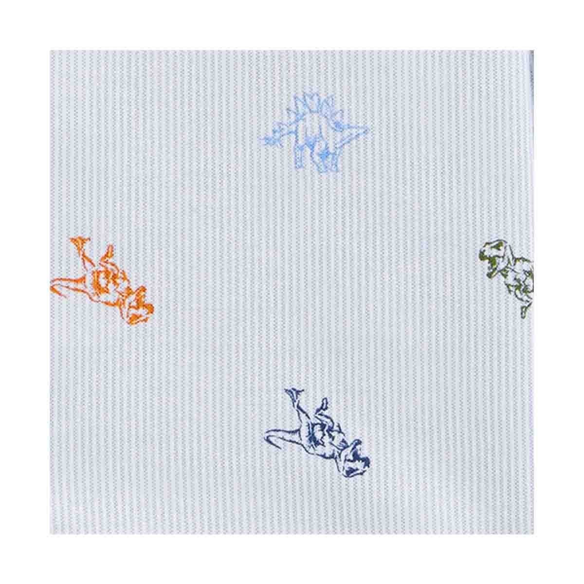 Camisa Color Azul Carters