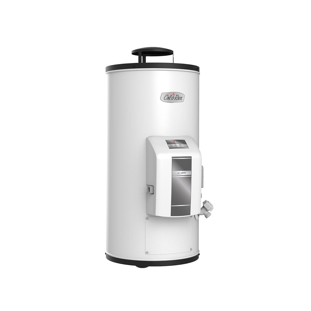 Calentador Calorex G-10 Sin Piloto Gas L.p.