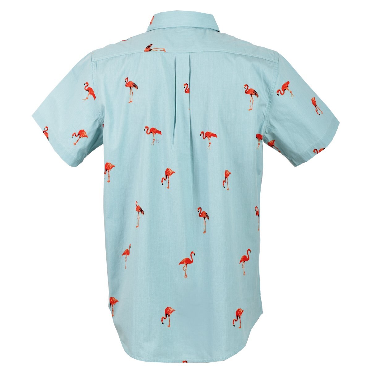Camisa Manga Corta Jeanious