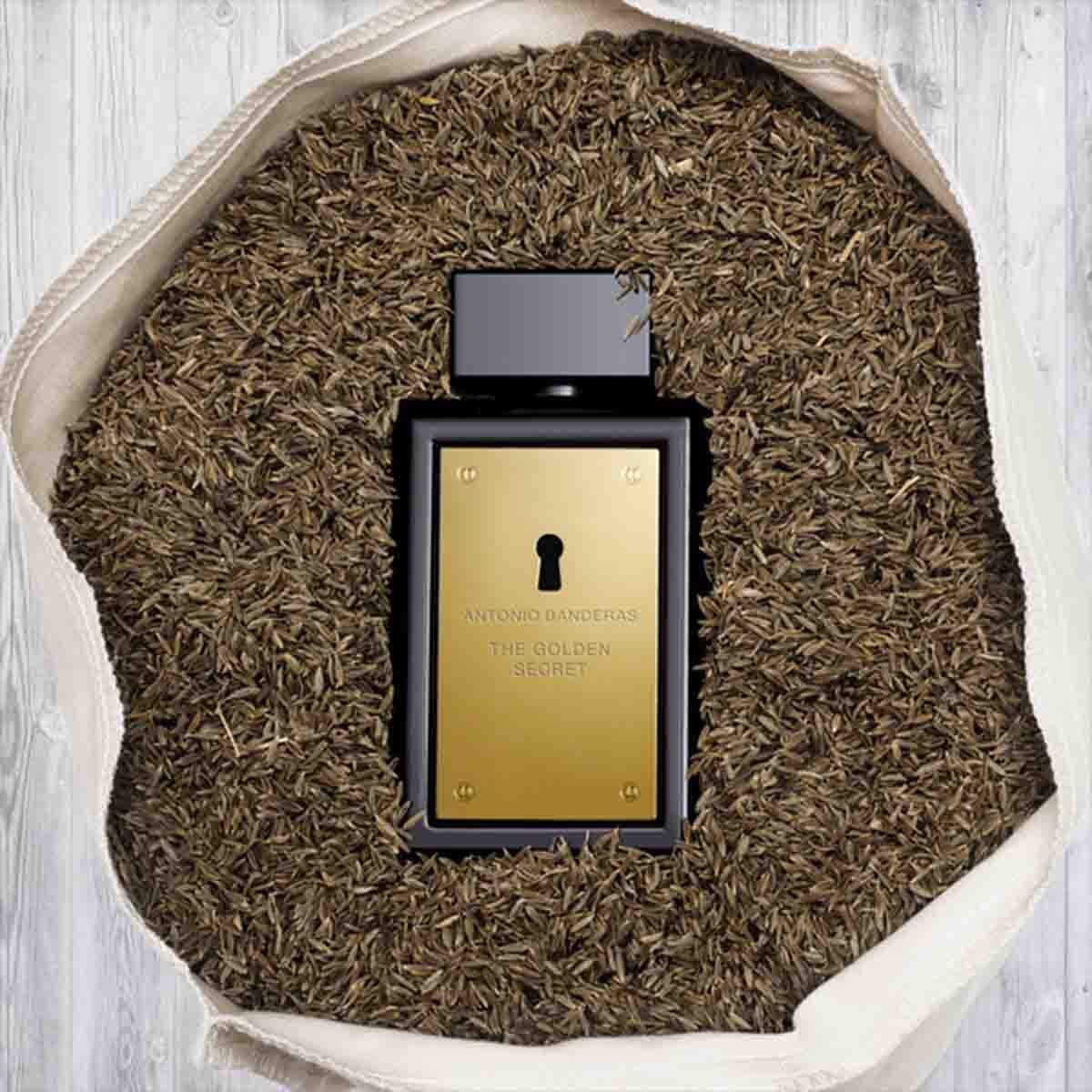 Estuche para Caballero Antonio Banderas The Golden Secret Edt 100Ml + Después Del Afeitado 75Ml