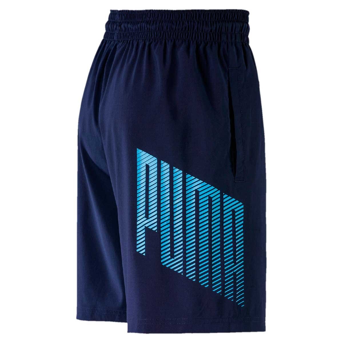 Short A.c.e. Woven 9" Puma - Caballero