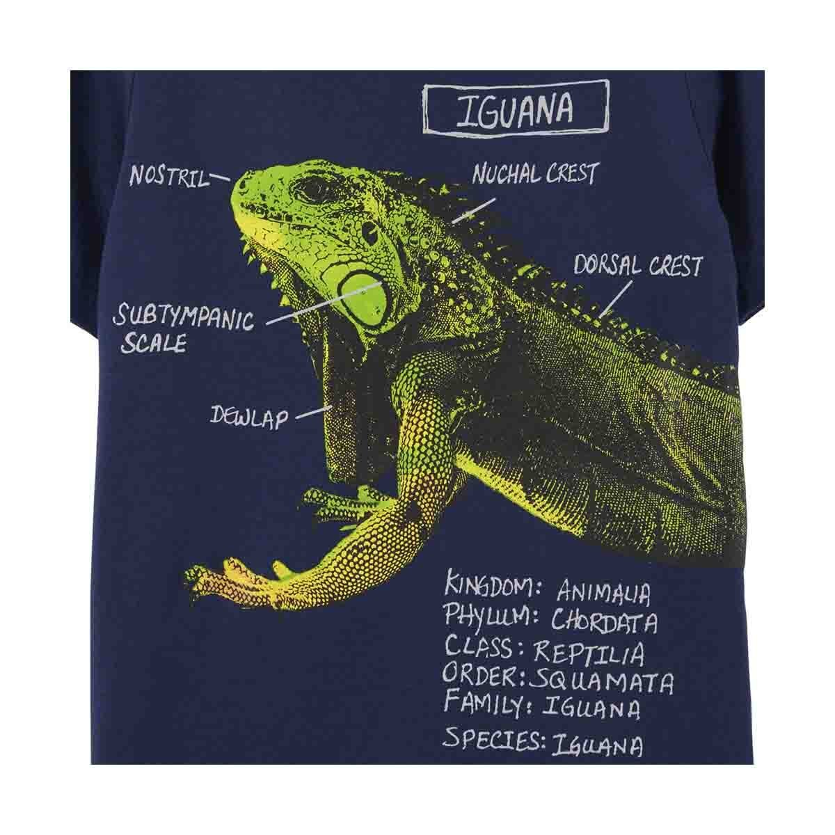 Playera Manga Corta Carters