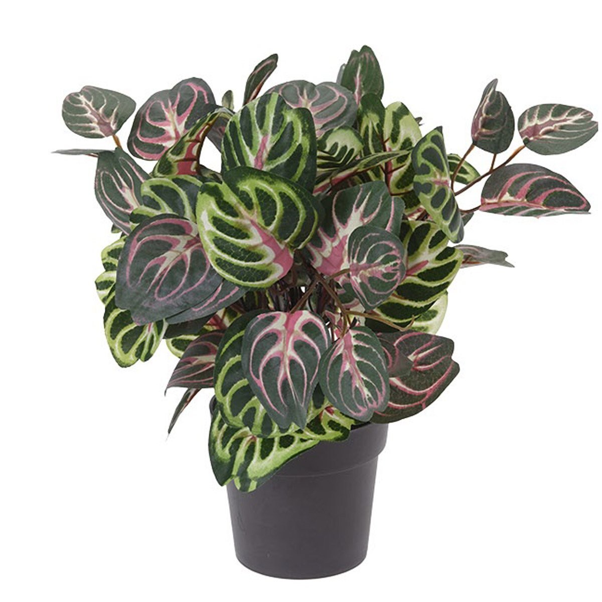 Maceta con Planta de 28 Cm