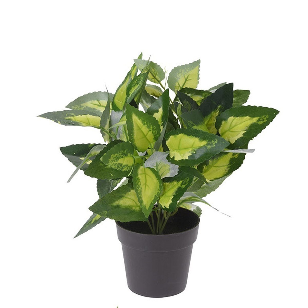 Maceta con Planta de 28 Cm