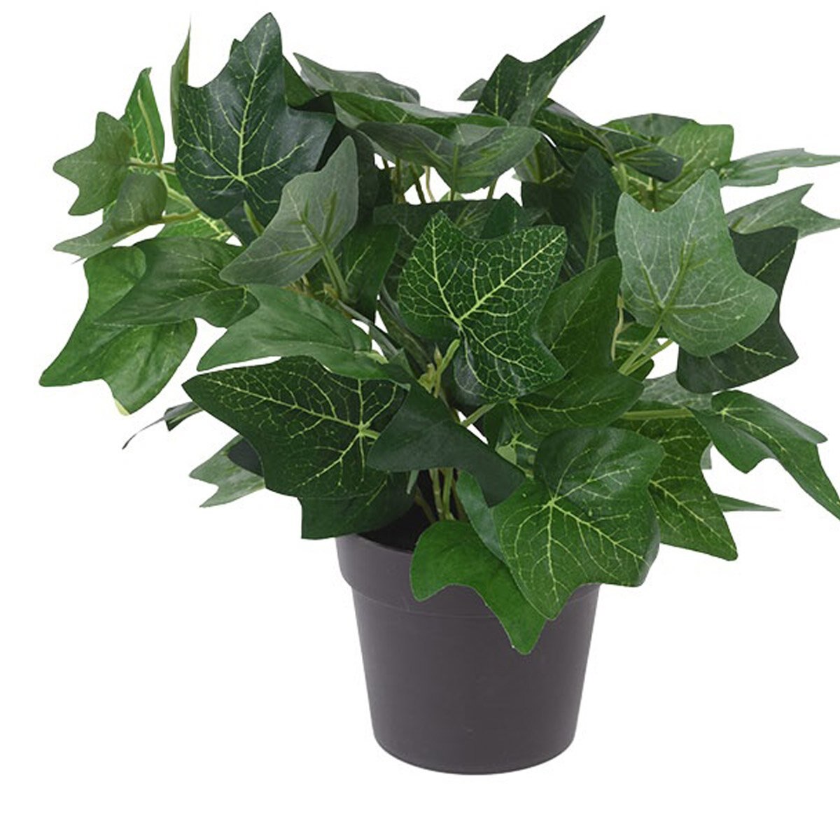 Maceta con Planta de 28 Cm