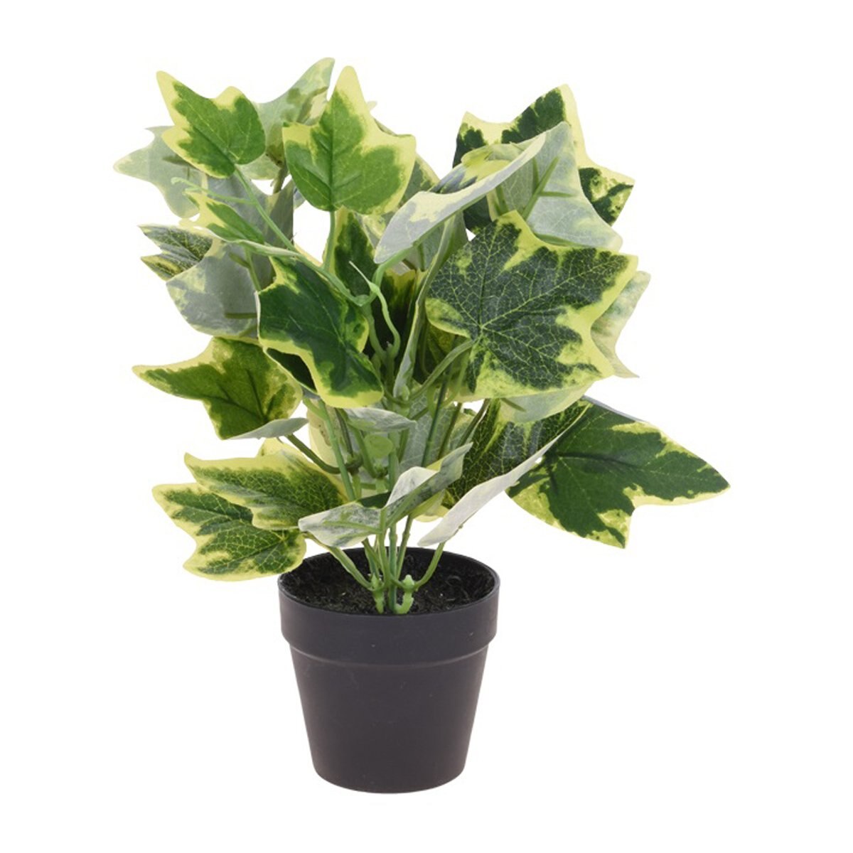 Florero con Planta de 23 Cm