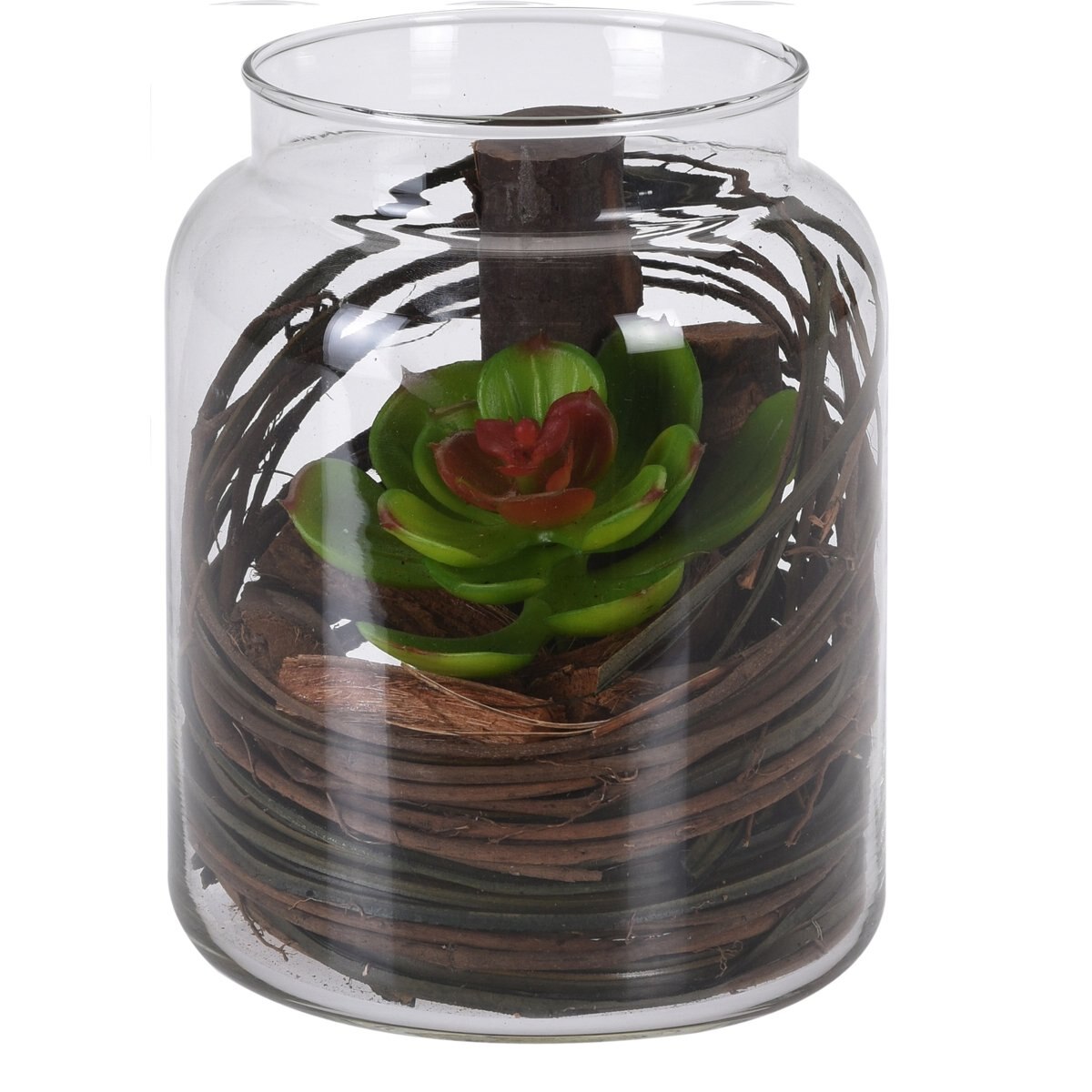 Tarro Cristal con Planta 6