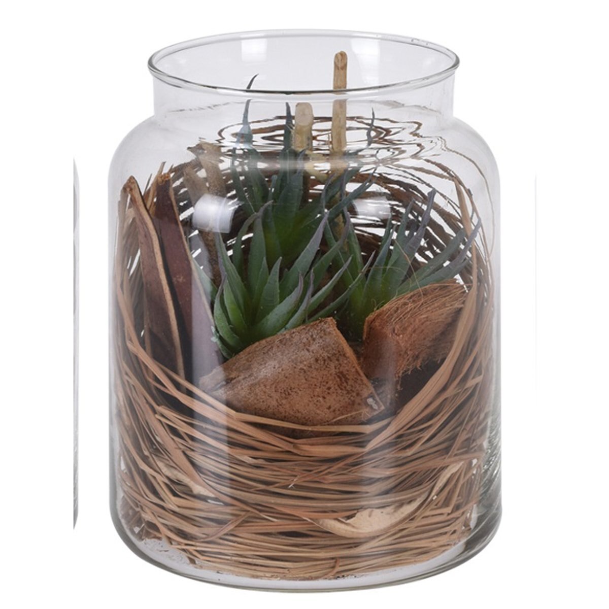 Tarro Cristal con Planta 6