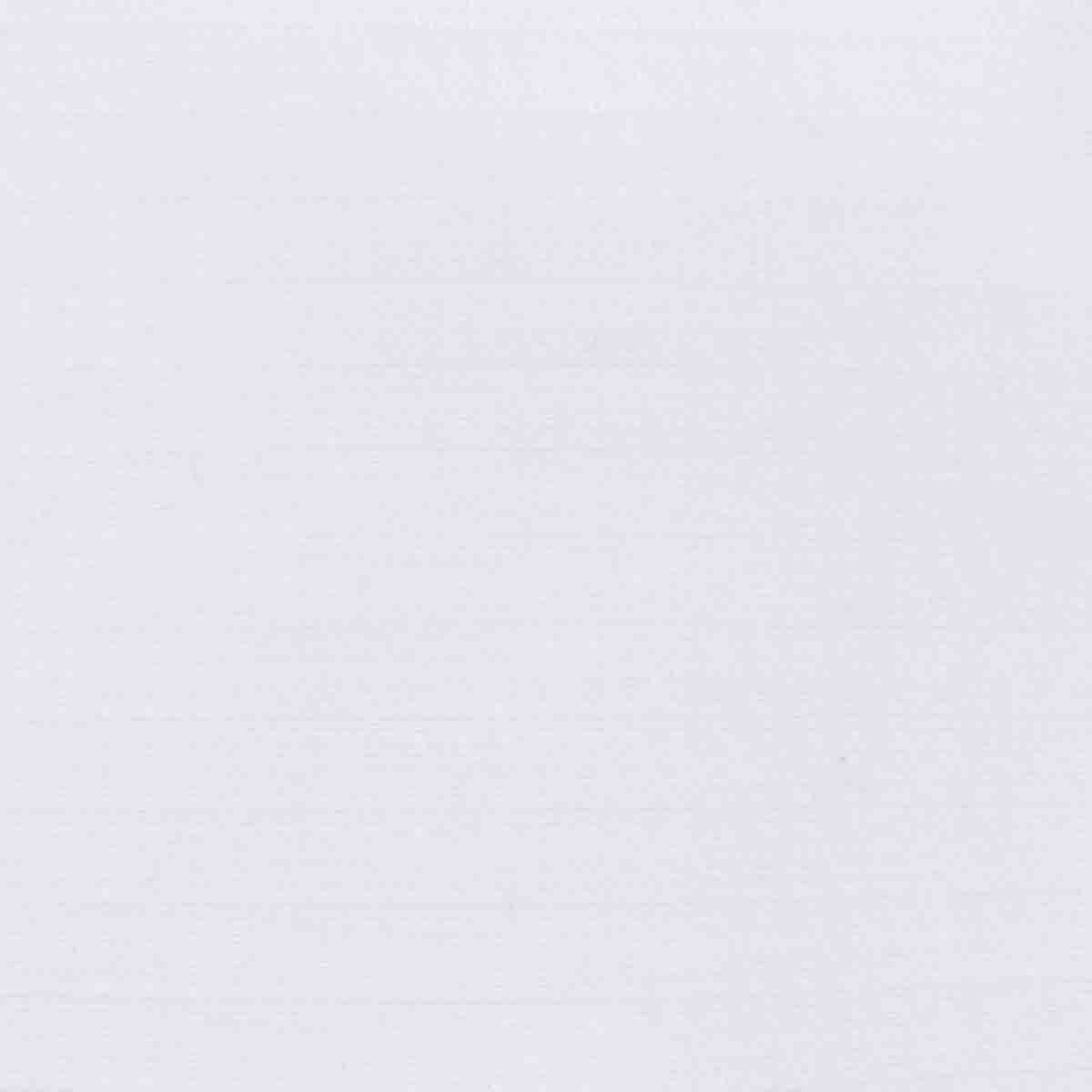Camisa de Vestir Color Blanco Nina Ricci