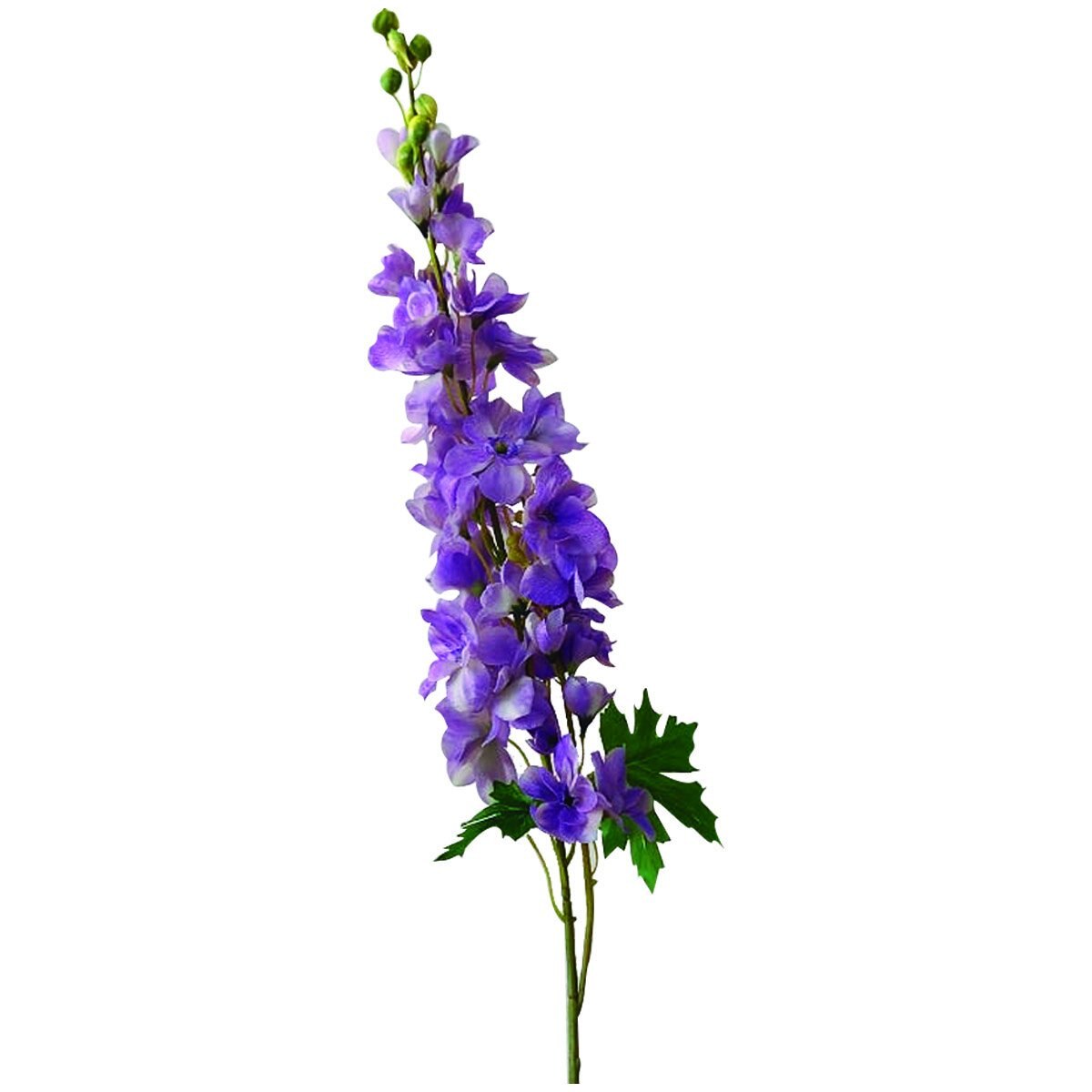 Delphinium Real Touch Violeta el Ático