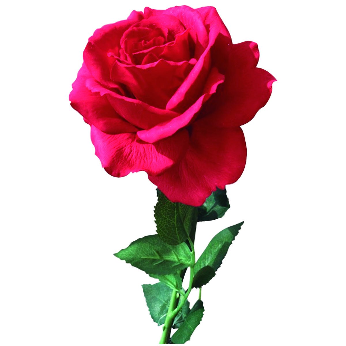 Rosa Abierta Real Touch Color Rojo el Ático