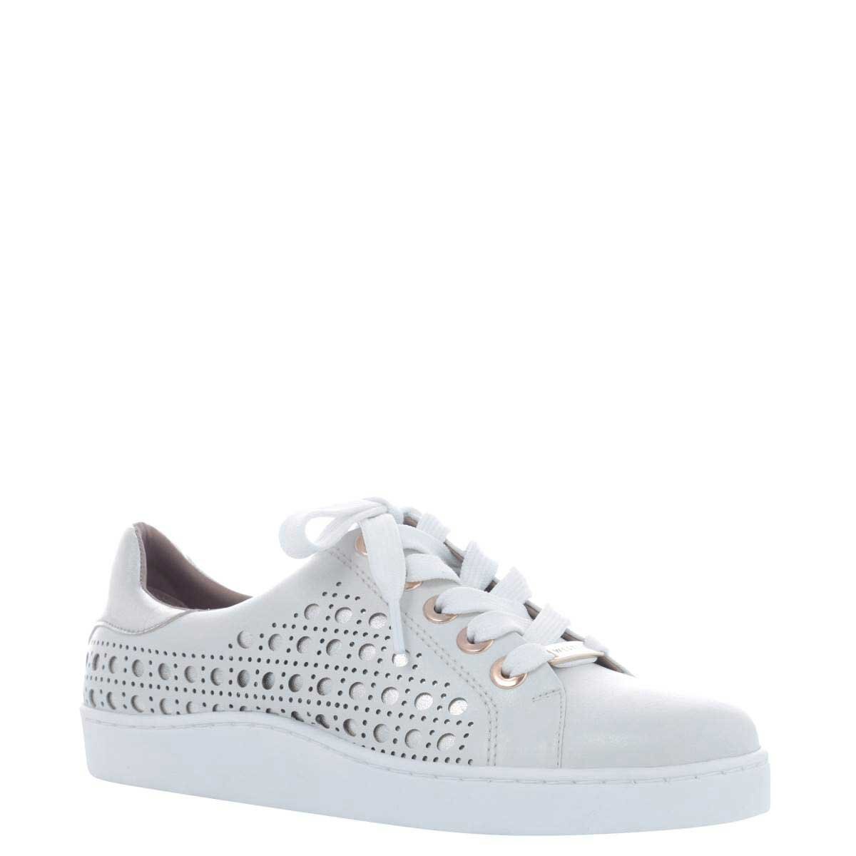 Tenis Beige Westies