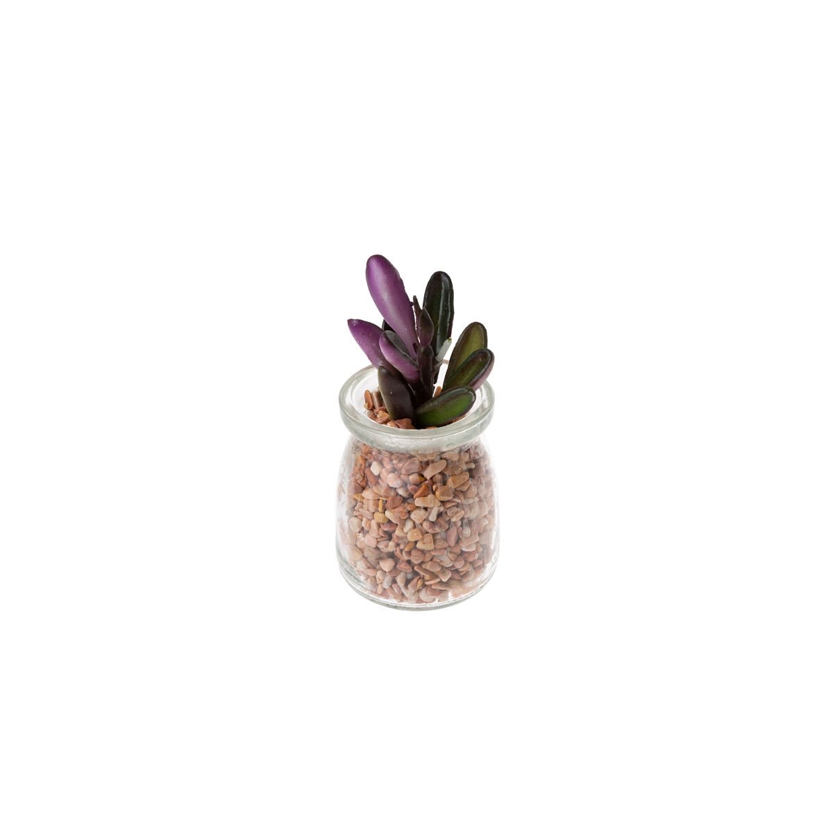 Home Nature Planta Decorativa con Arena en Frasco de Cristal