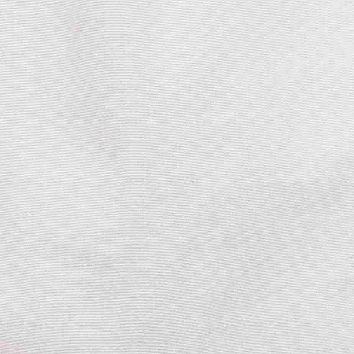 Camisa de Vestir Slim Fit Color Blanco Carlo Corinto