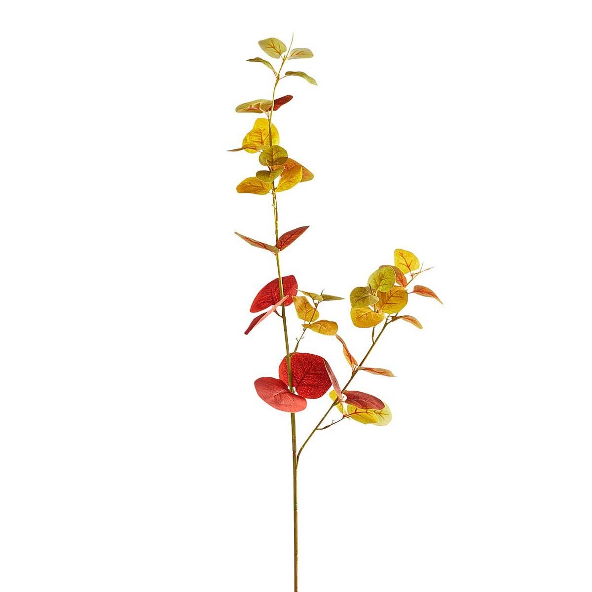 Rama Eucalyptus Multicolor Pier 1 Imports