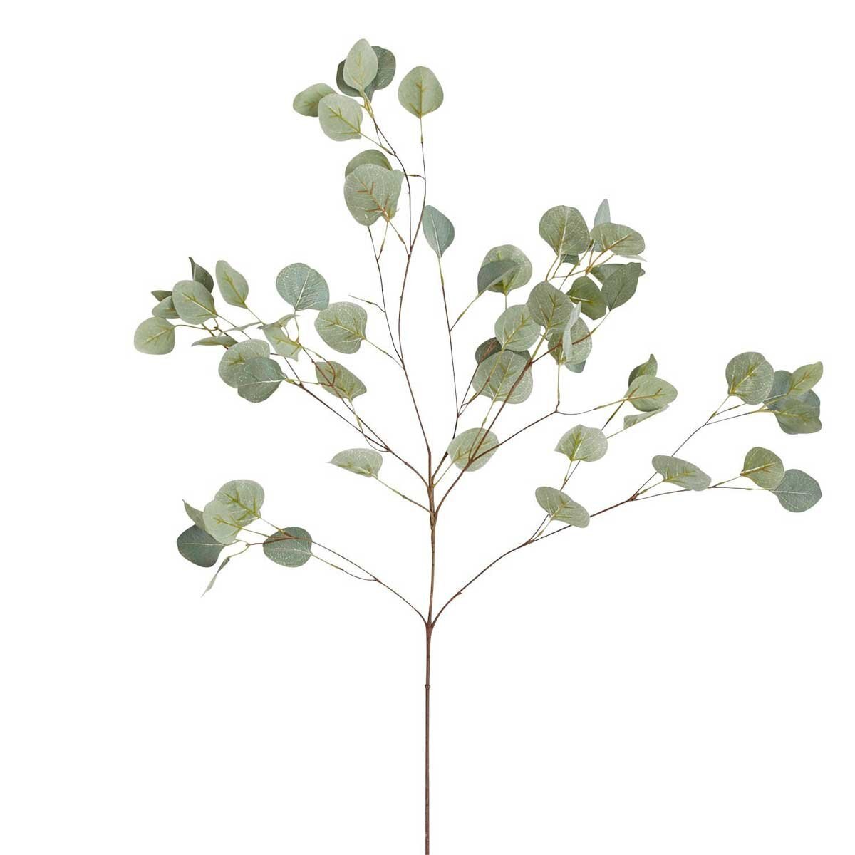 Rama Silver Dollar Mediana Pier 1 Imports