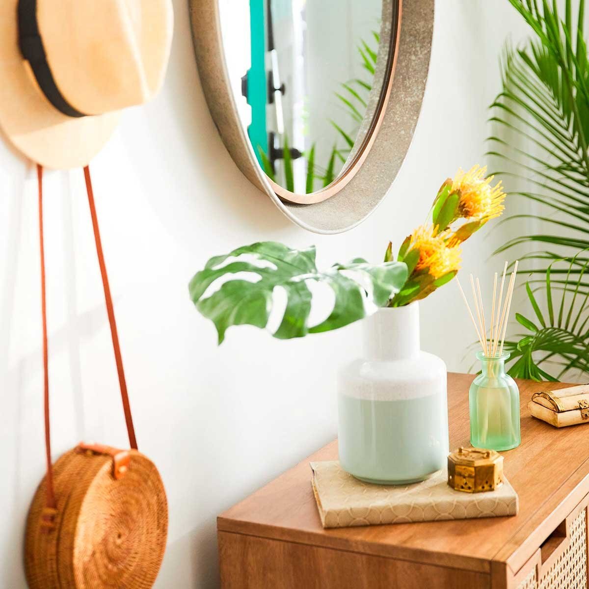 Tallo Monstera Pier 1 Imports