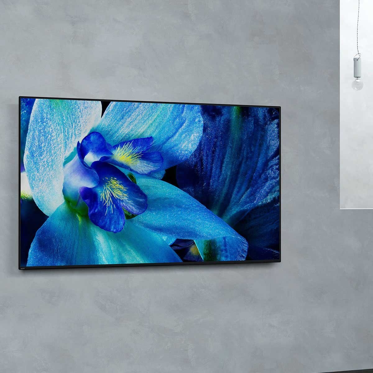 Pantalla Sony Oled 4K Ultra Hd 55" Android Tv Serie A8G