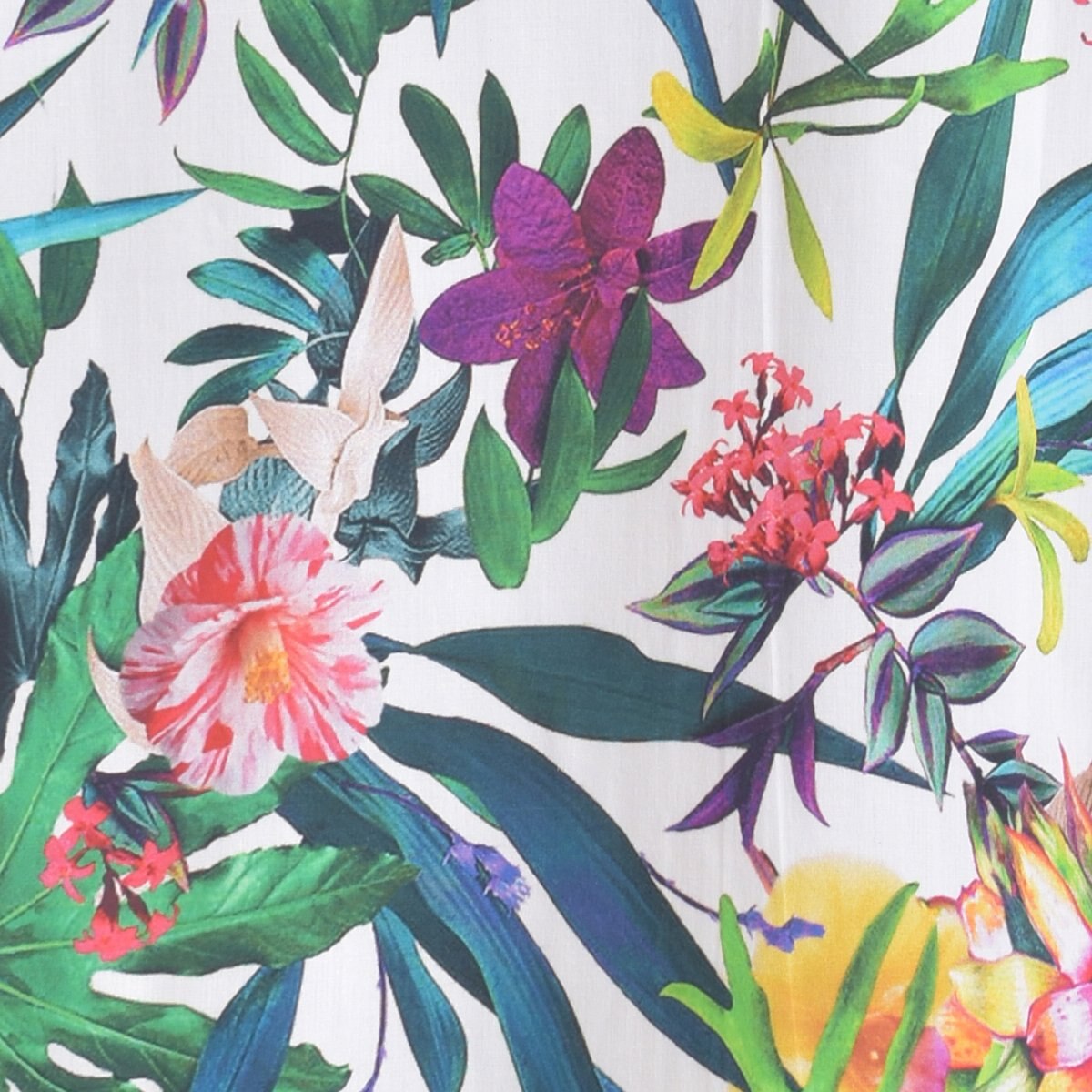 Camisa Manga Larga con Estampado de Flores Dario Beltran