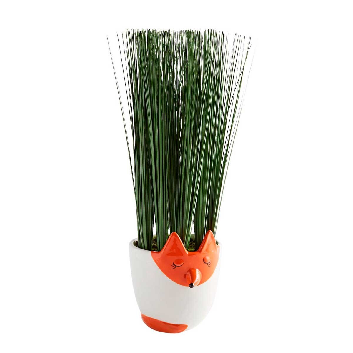 Arreglo Fox Tall Grass Pier 1 Imports