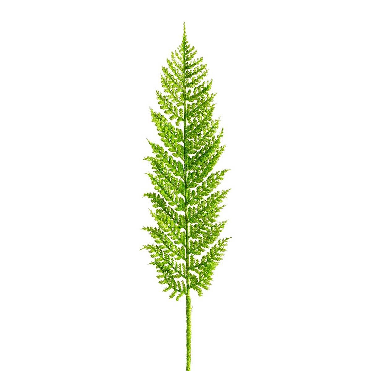 Tallo de Helecho Fern Pier 1 Imports