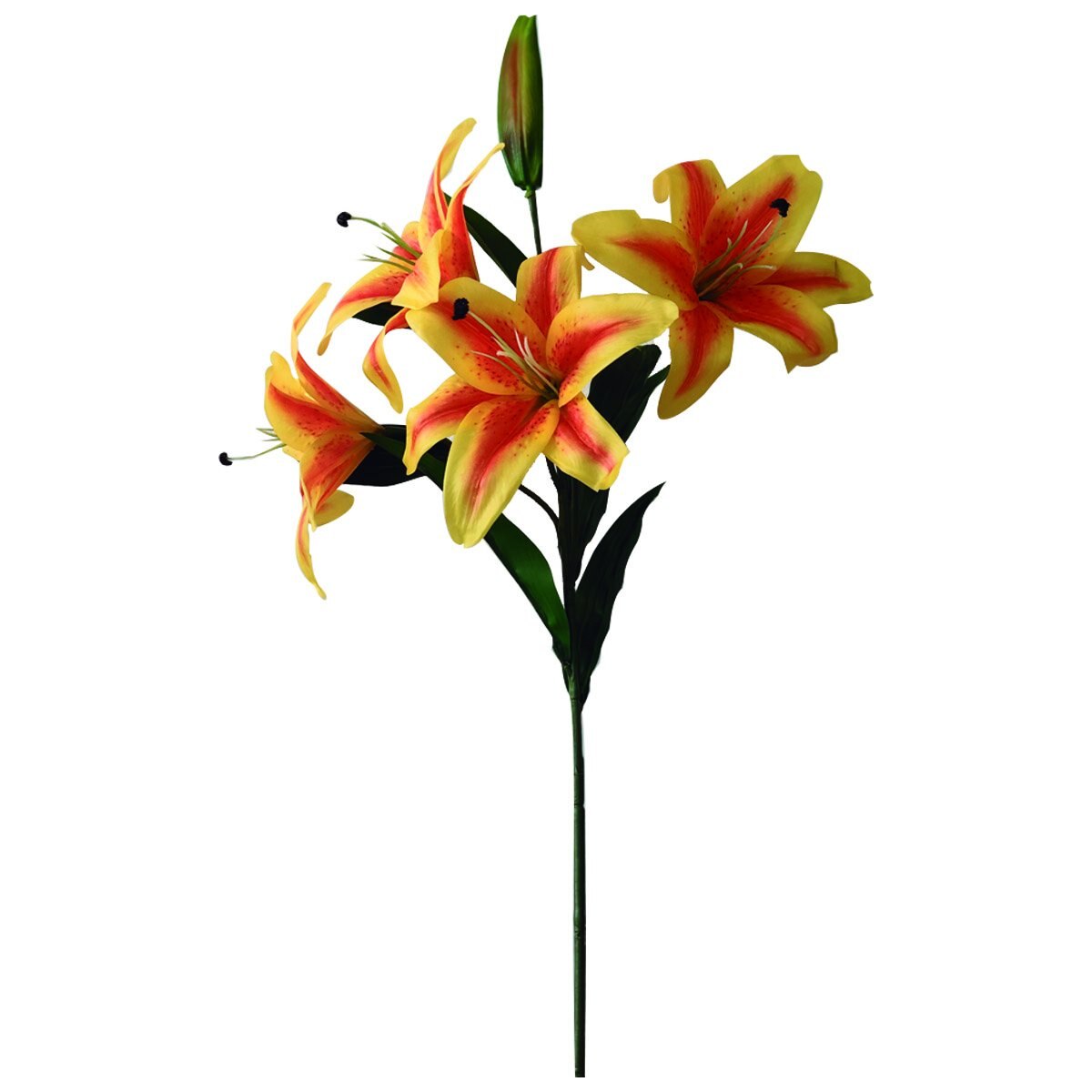 Lily Dragón Real Touch el Ático