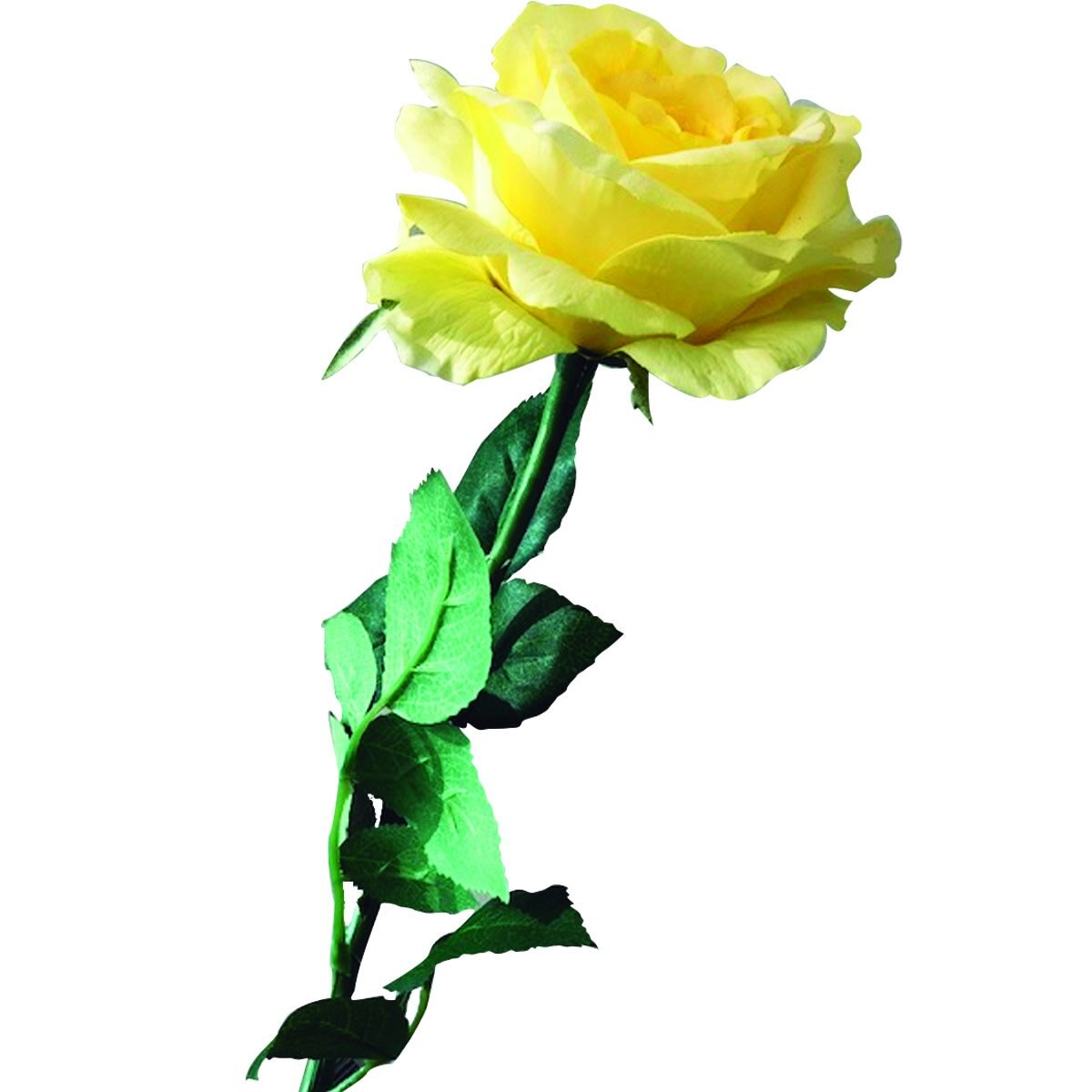 Rosa Abierta Real Touch Color Amarillo el Ático