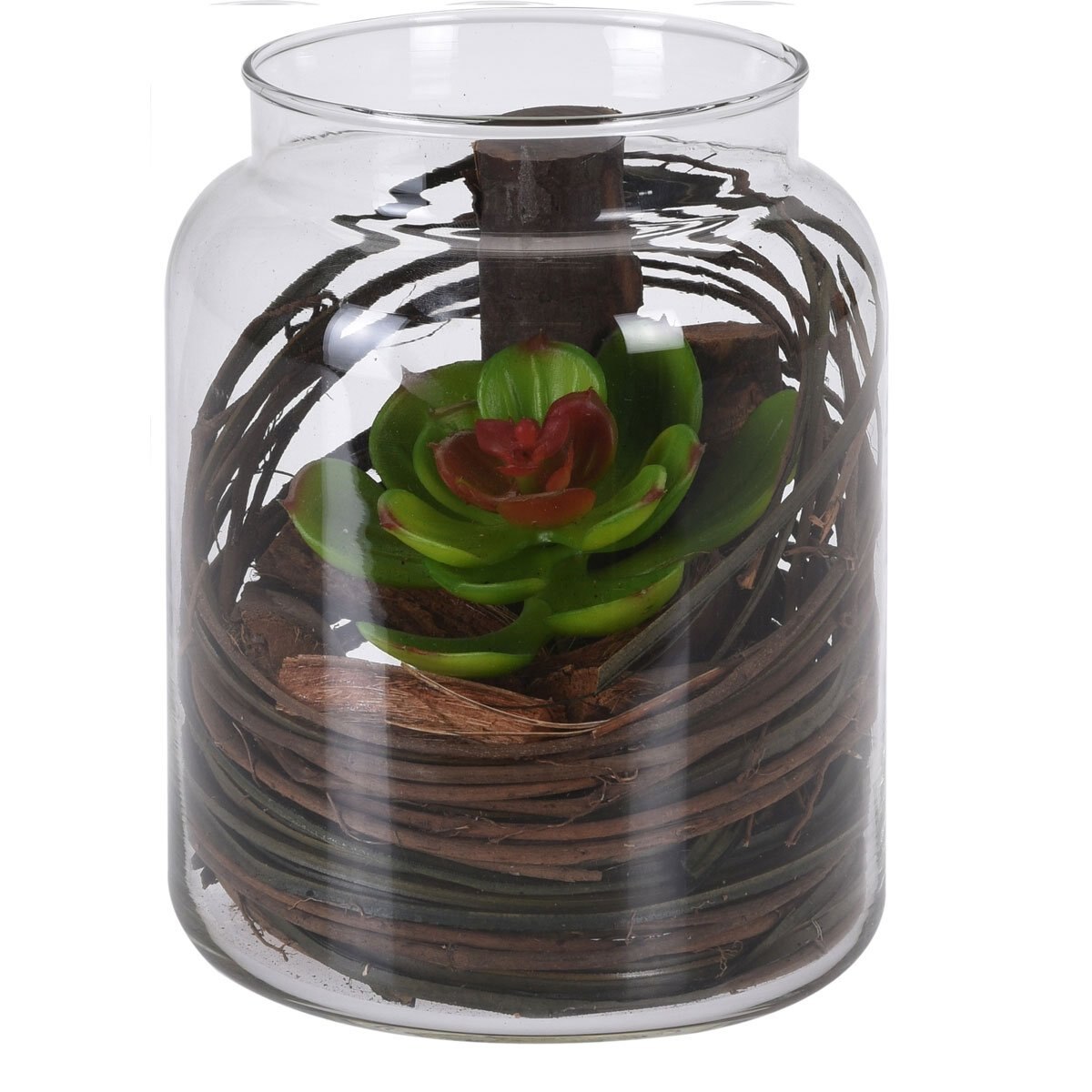 Tarro Cristal con Planta 6