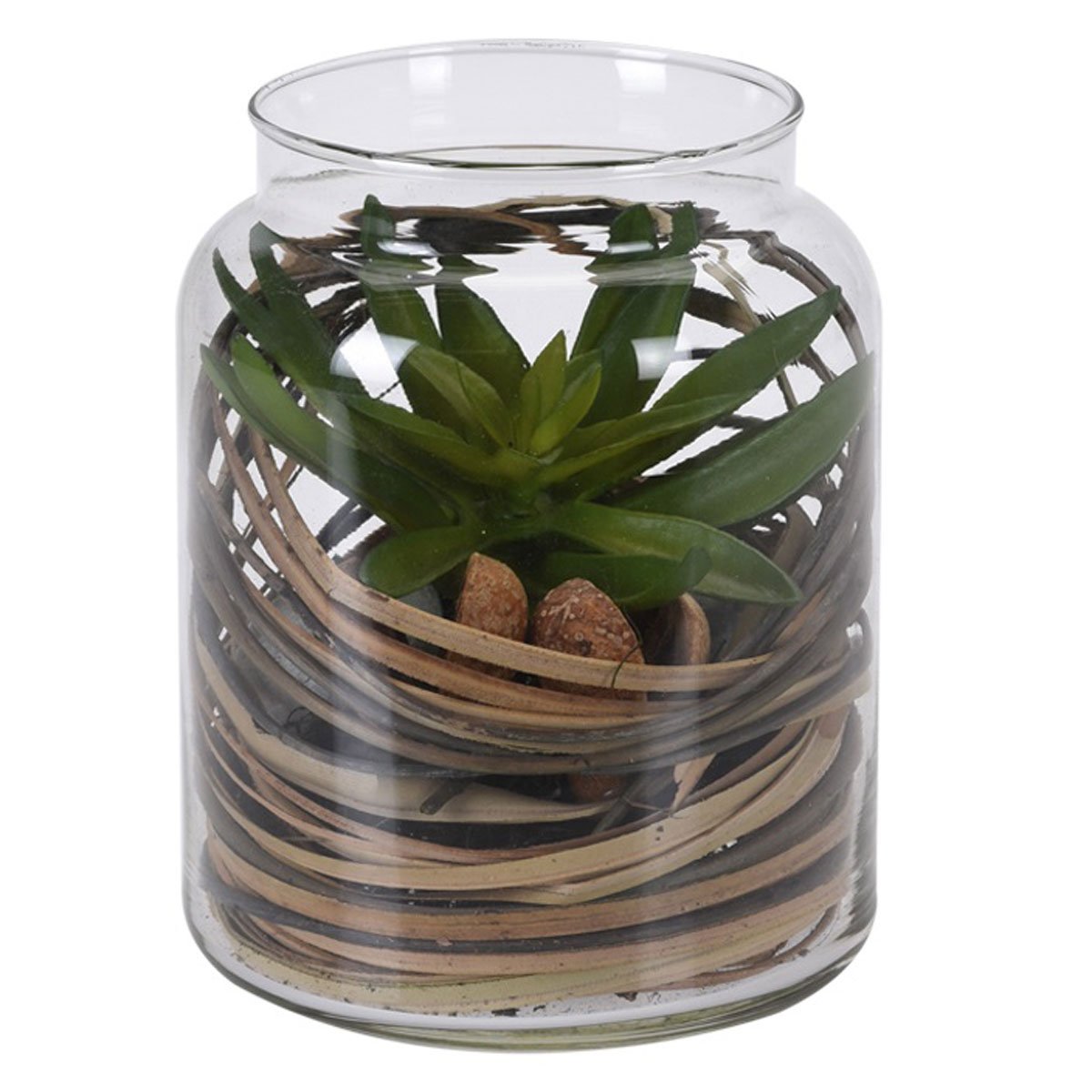 Tarro Cristal con Planta 6