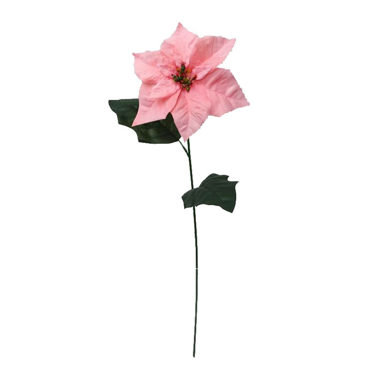 Nochebuena Rosa Lottus
