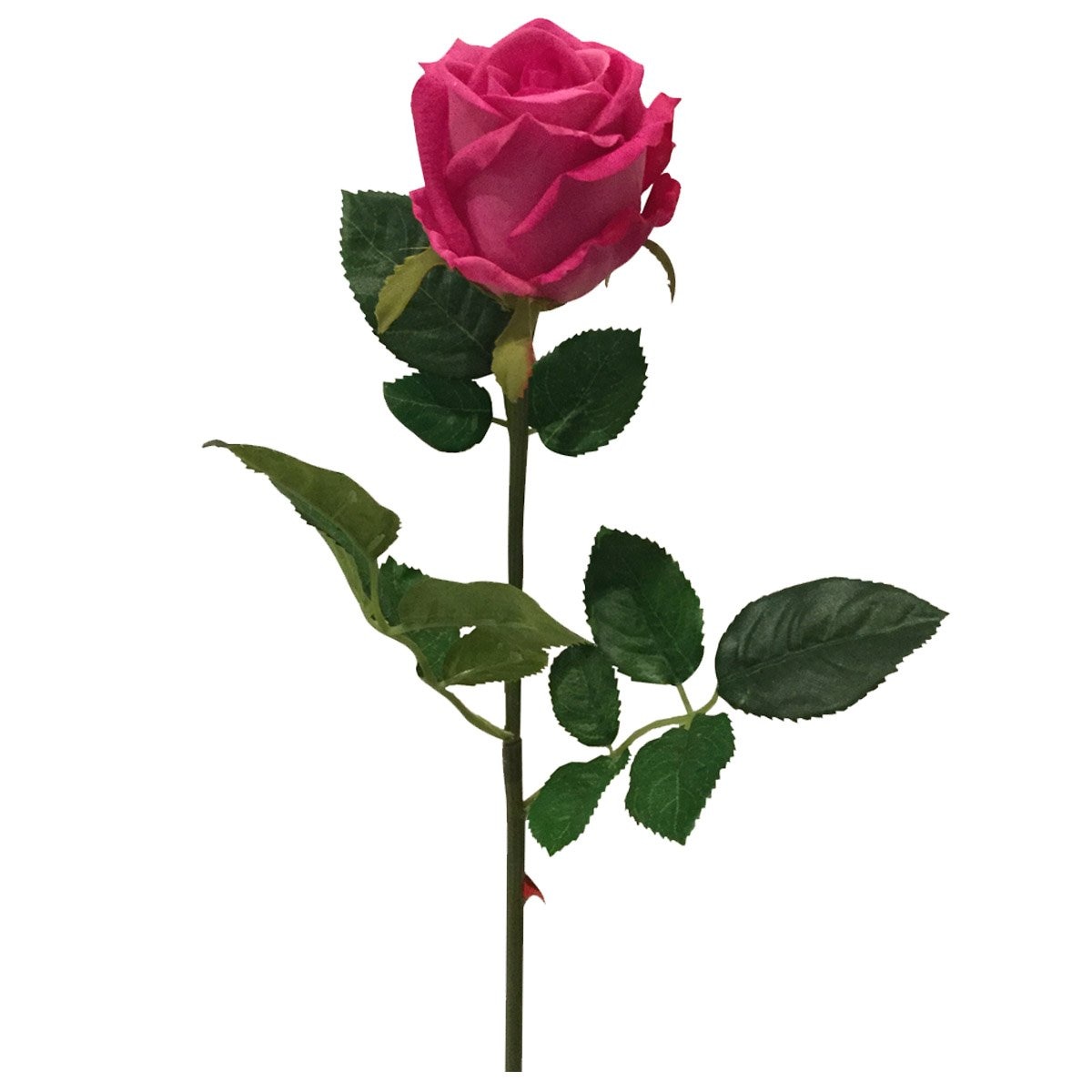Botón Rosa Morada Lottus