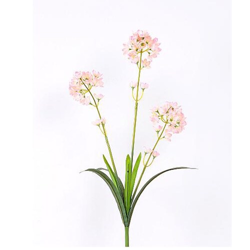 Ramo 3 Mini Floresrosa/crema Lottus