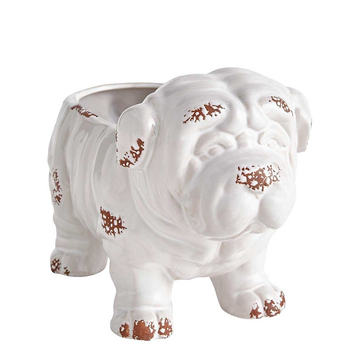Maceta para Escritorio Puppy Pier 1 Imports