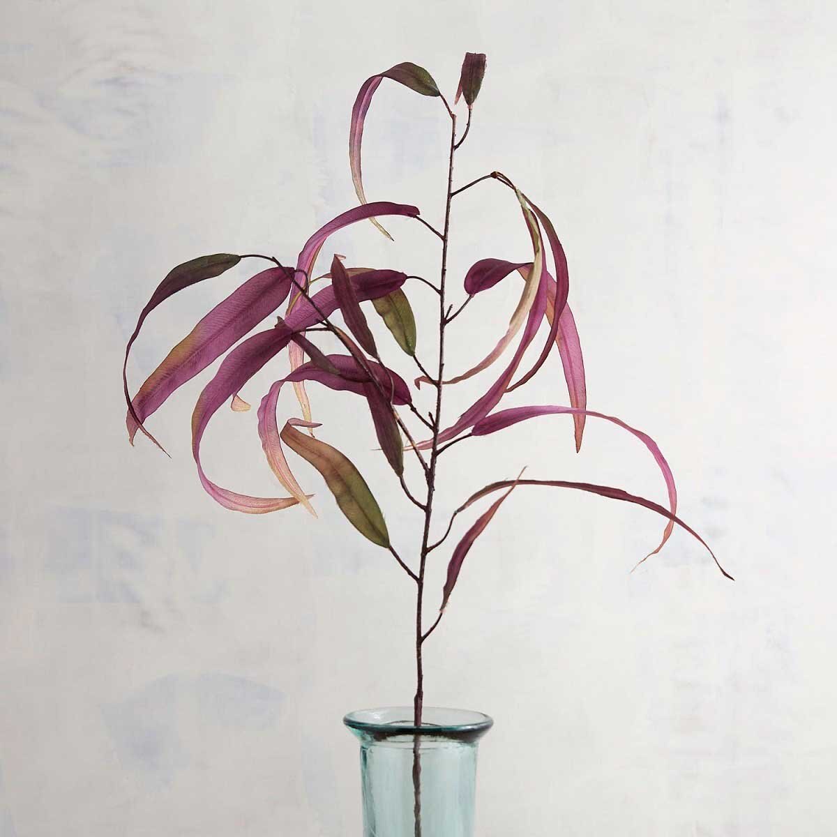 Vara Decorativa Hoja de Eucalipto Pier 1 Imports