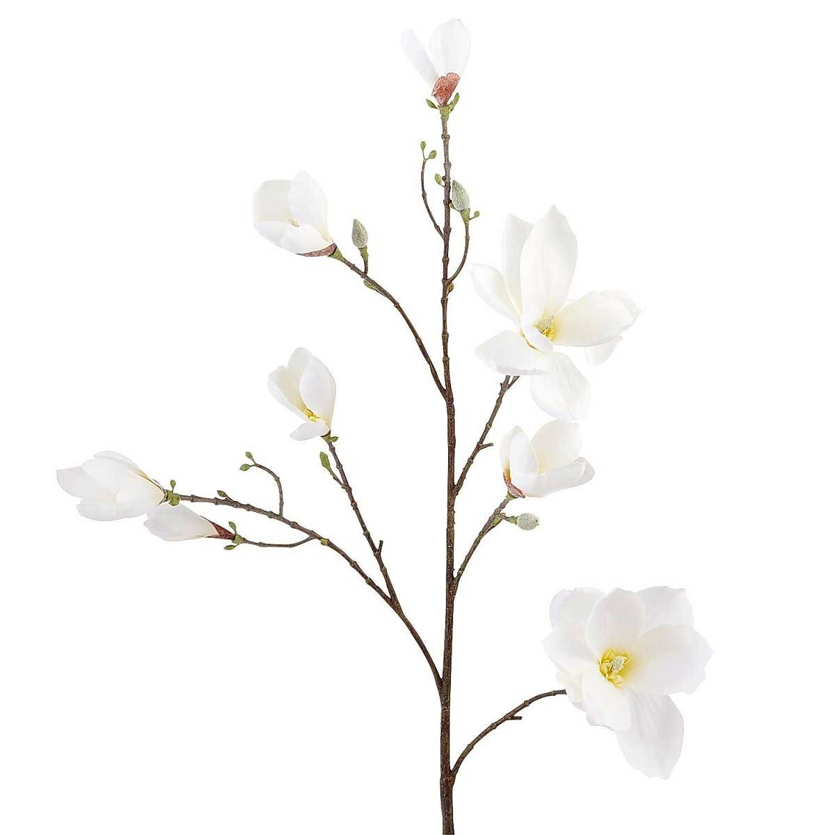 Vara Decorativa Magnolia Blanca Pier 1 Imports