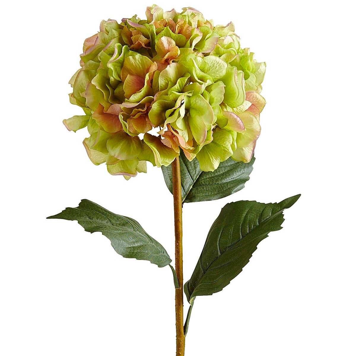 Vara Decorativa Hydrangea Stem Green Pier 1 Imports